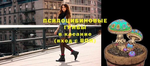 метадон Богородицк