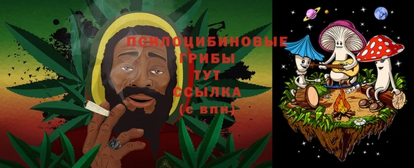 метадон Богородицк