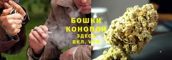 метадон Богородицк