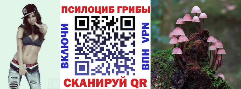 Псилоцибиновые грибы мицелий дарнет шоп Бугульма