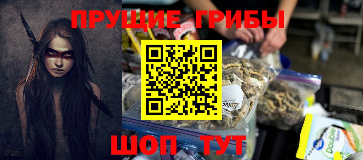 Галлюциногенные грибы Psilocybe  Вход с VPN  Бугульма 