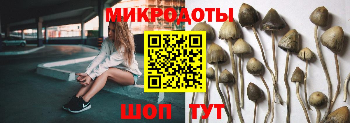 Галлюциногенные грибы GOLDEN TEACHER Бугульма